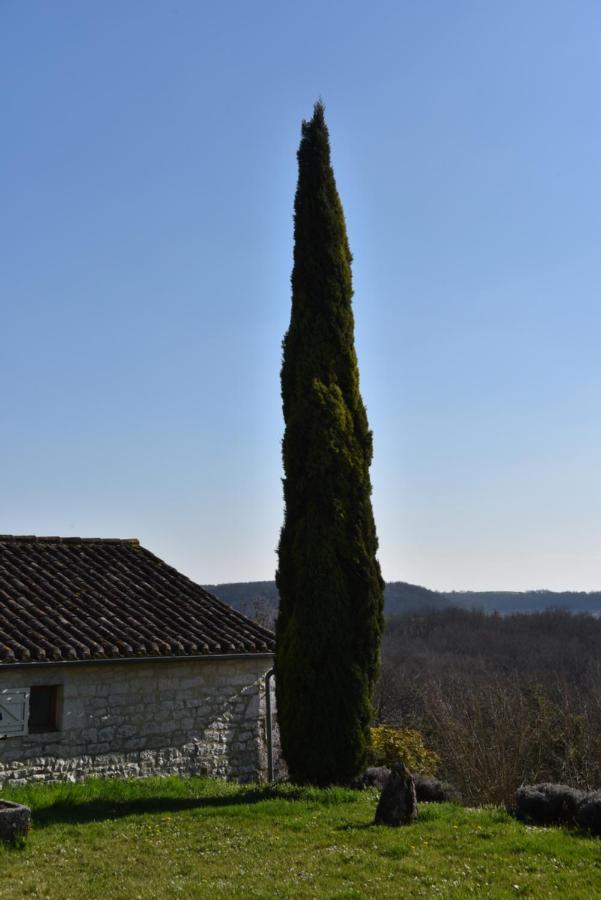 Les Collines Du Quercy Blanc Villa Castelnau-Montratier Екстериор снимка