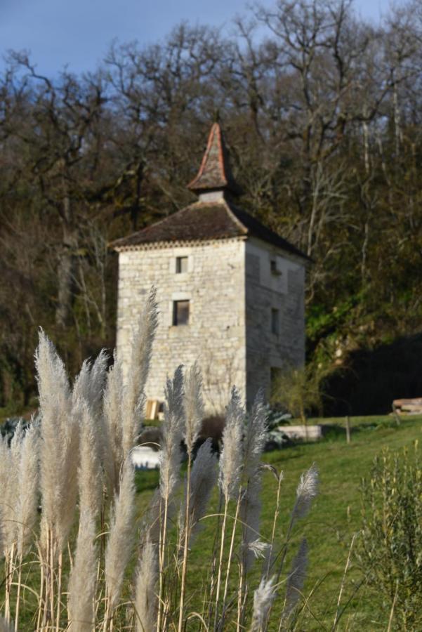 Les Collines Du Quercy Blanc Villa Castelnau-Montratier Екстериор снимка